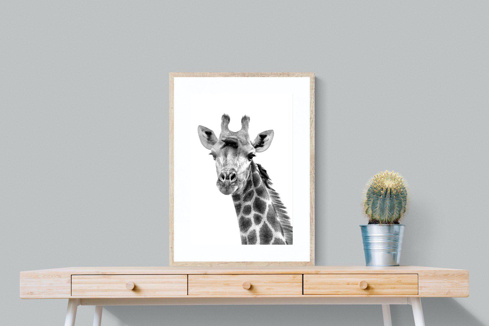 Giraffe Spa-Wall_Art-60 x 80cm-Framed Print-Wood-Pixalot