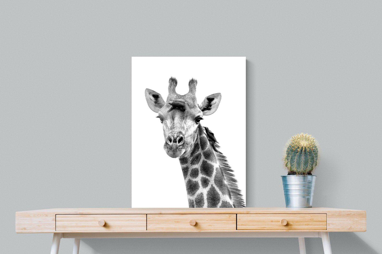 Giraffe Spa-Wall_Art-60 x 80cm-Mounted Canvas-No Frame-Pixalot