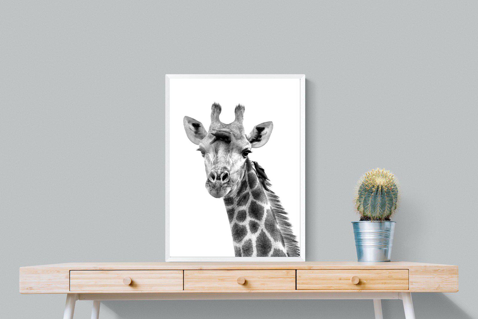 Giraffe Spa-Wall_Art-60 x 80cm-Mounted Canvas-White-Pixalot