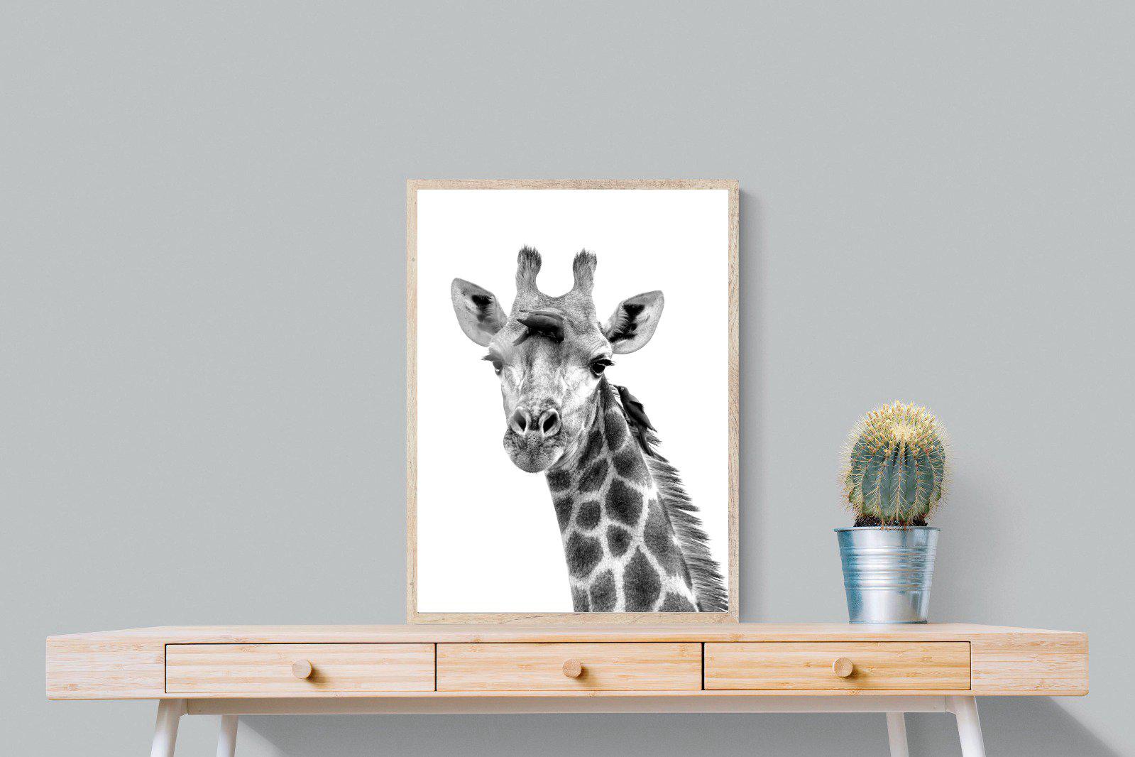 Giraffe Spa-Wall_Art-60 x 80cm-Mounted Canvas-Wood-Pixalot