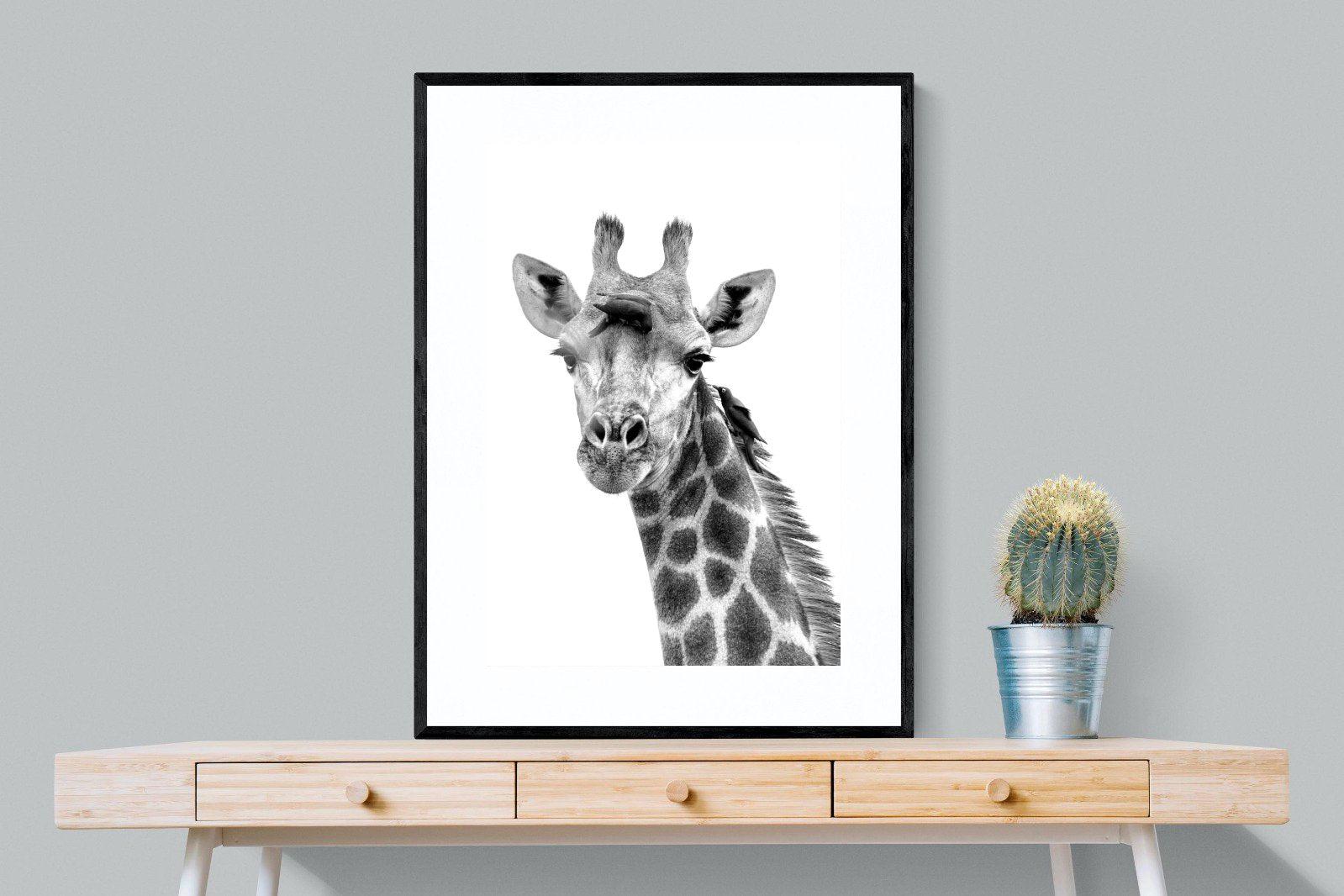 Giraffe Spa-Wall_Art-75 x 100cm-Framed Print-Black-Pixalot