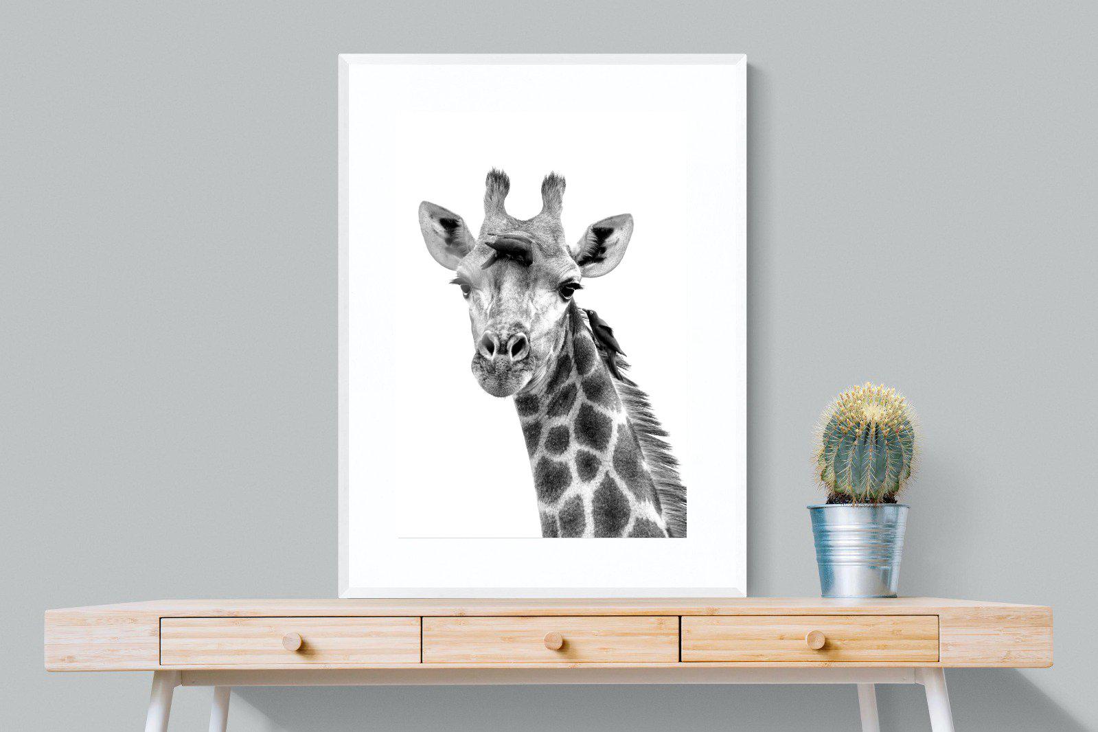 Giraffe Spa-Wall_Art-75 x 100cm-Framed Print-White-Pixalot
