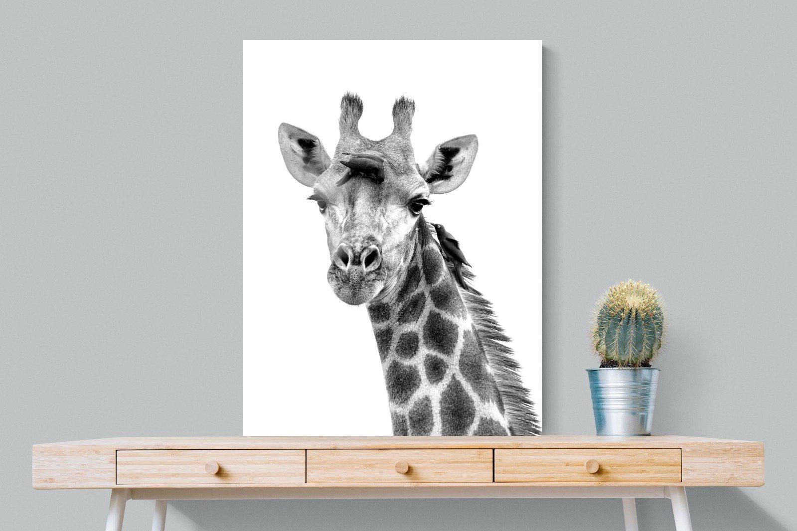 Giraffe Spa-Wall_Art-75 x 100cm-Mounted Canvas-No Frame-Pixalot