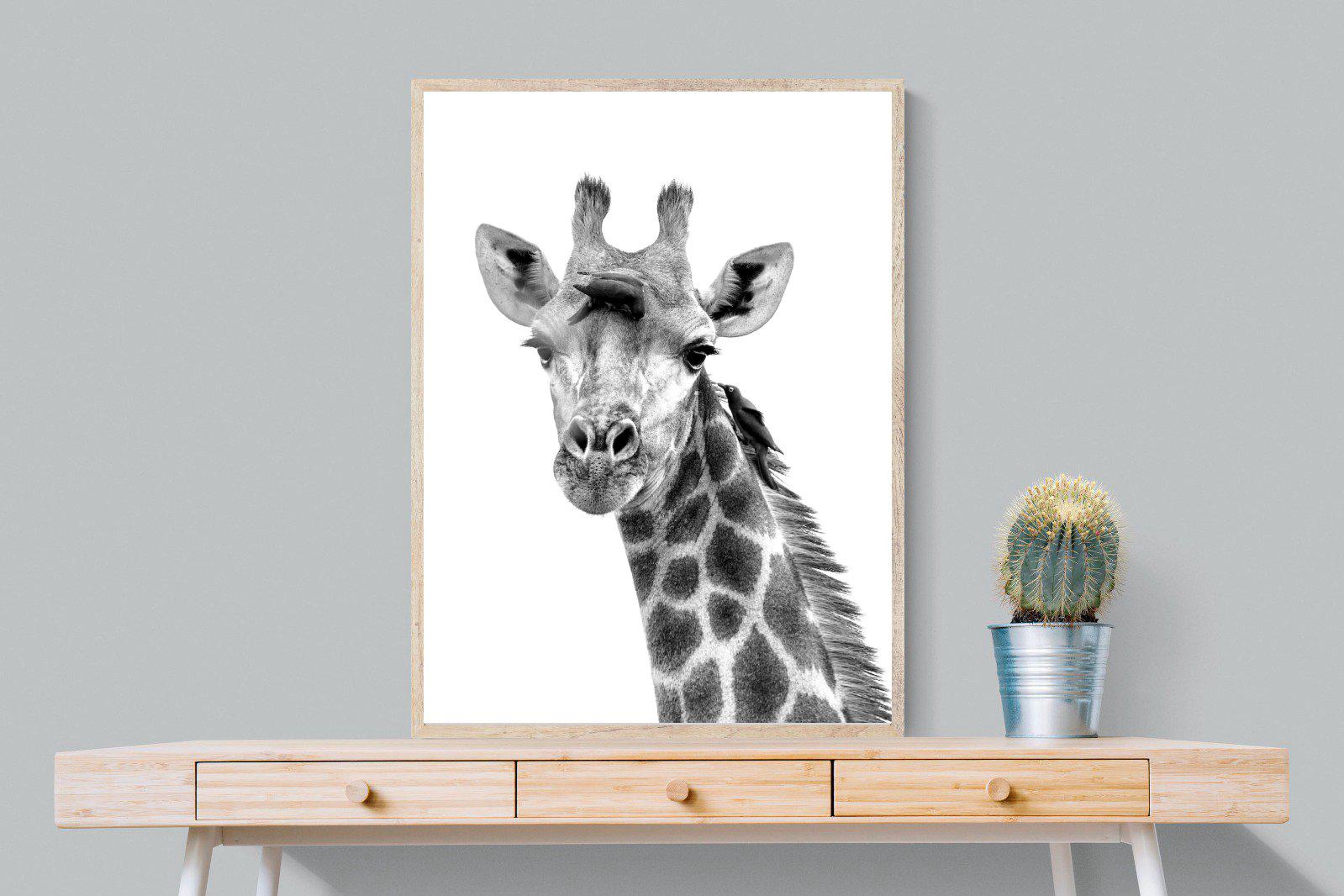 Giraffe Spa-Wall_Art-75 x 100cm-Mounted Canvas-Wood-Pixalot