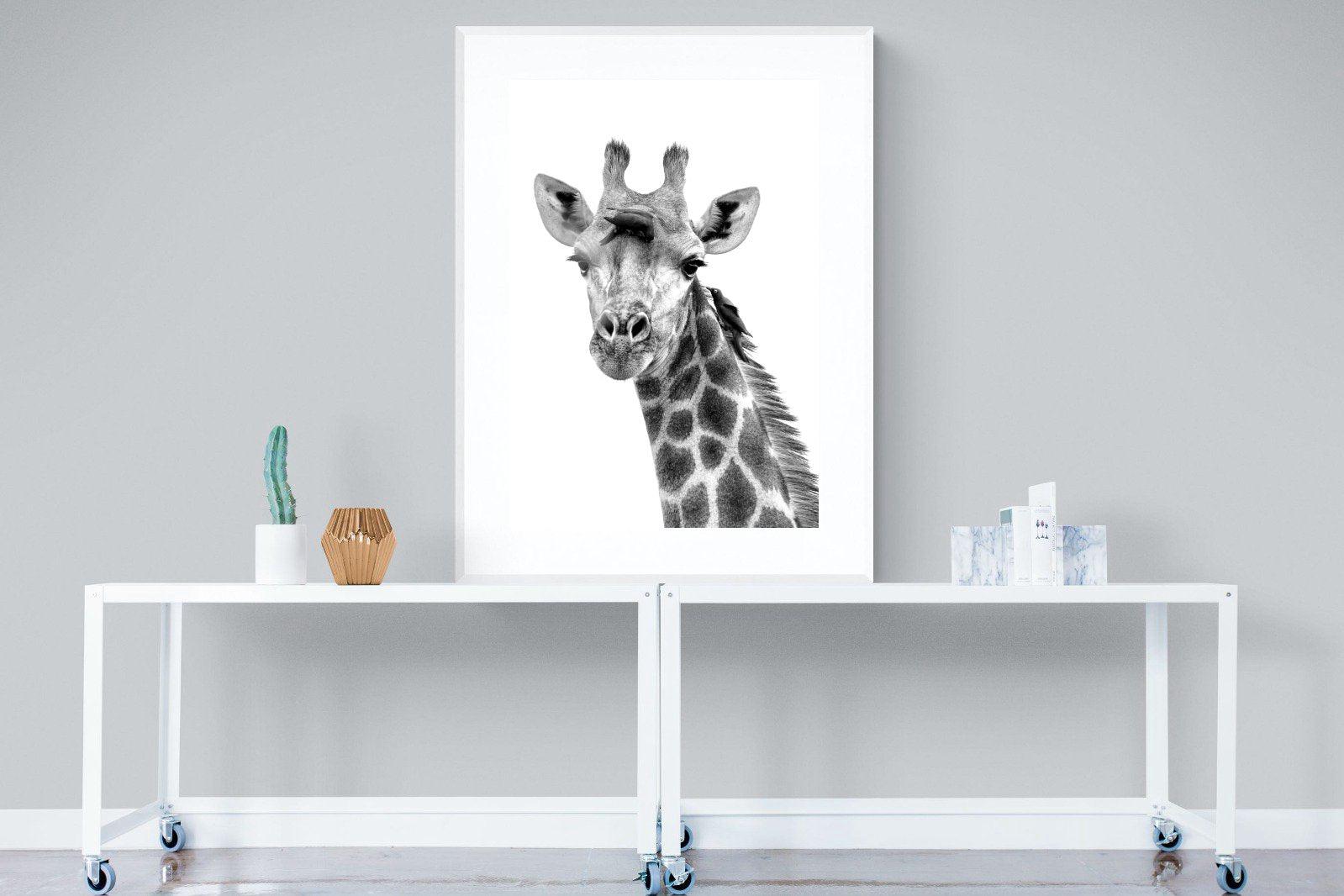 Giraffe Spa-Wall_Art-90 x 120cm-Framed Print-White-Pixalot