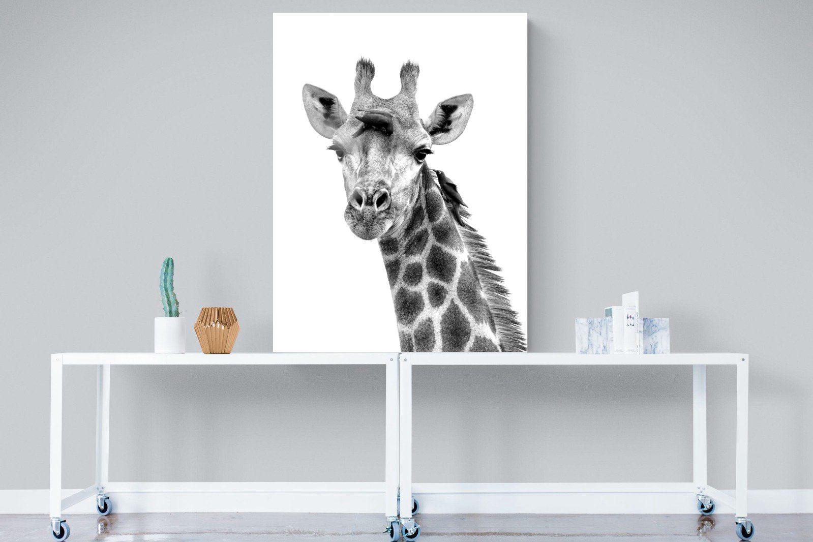 Giraffe Spa-Wall_Art-90 x 120cm-Mounted Canvas-No Frame-Pixalot
