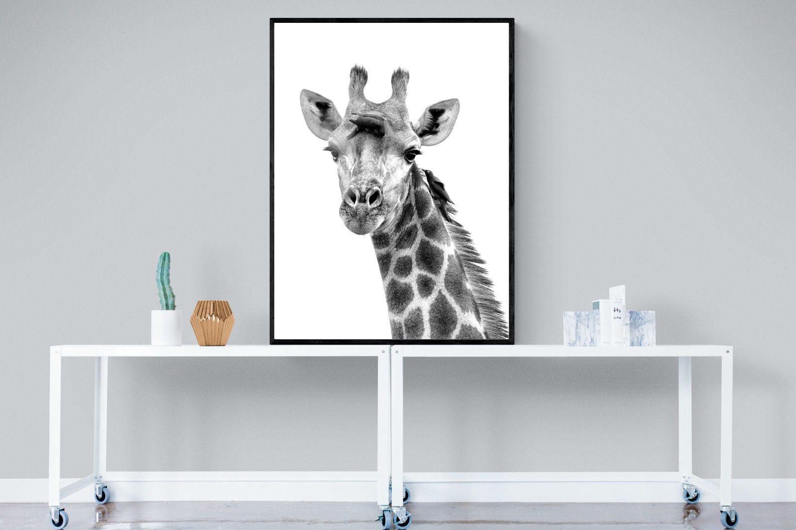 Giraffe Spa-Wall_Art-90 x 120cm-Mounted Canvas-Black-Pixalot