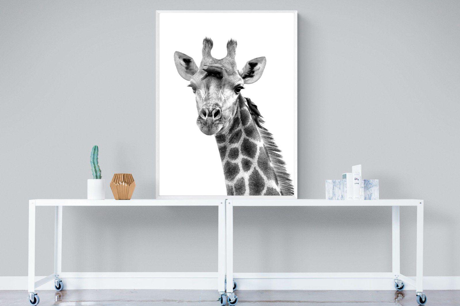 Giraffe Spa-Wall_Art-90 x 120cm-Mounted Canvas-White-Pixalot