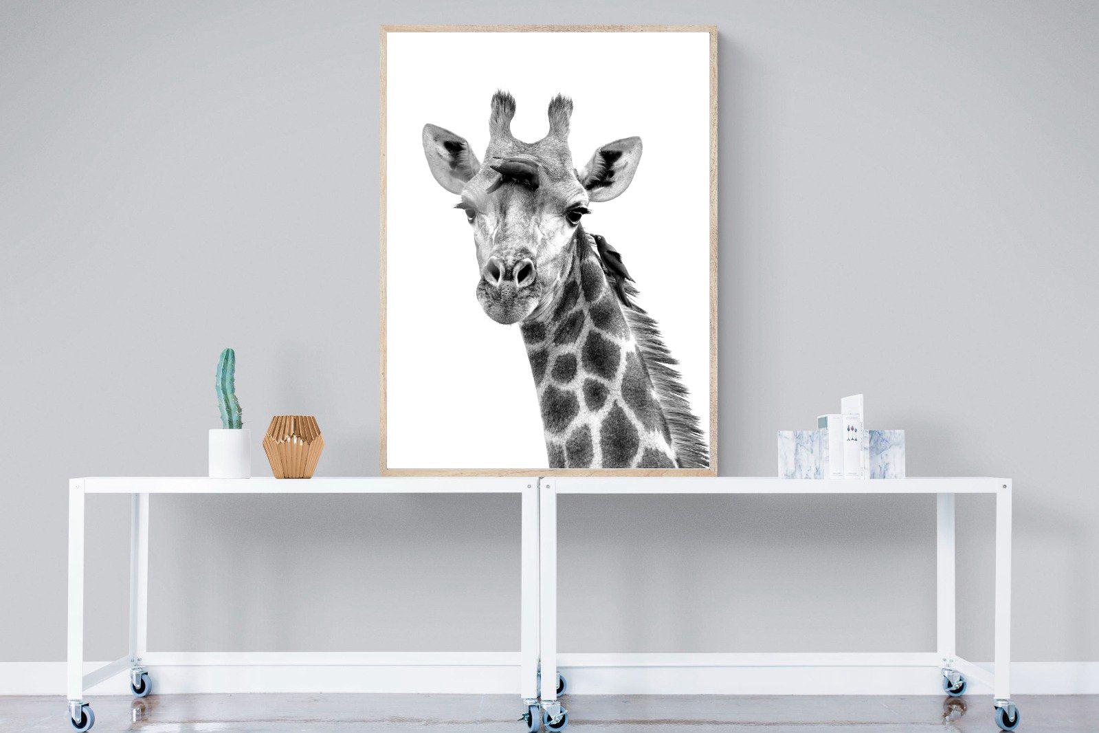 Giraffe Spa-Wall_Art-90 x 120cm-Mounted Canvas-Wood-Pixalot