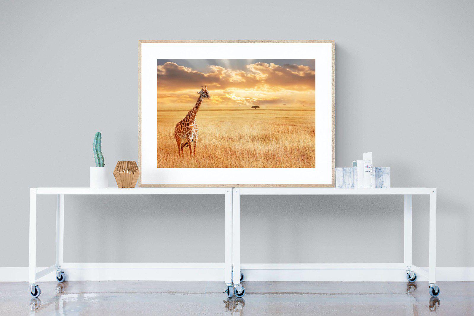 Giraffe Sunset-Wall_Art-120 x 90cm-Framed Print-Wood-Pixalot