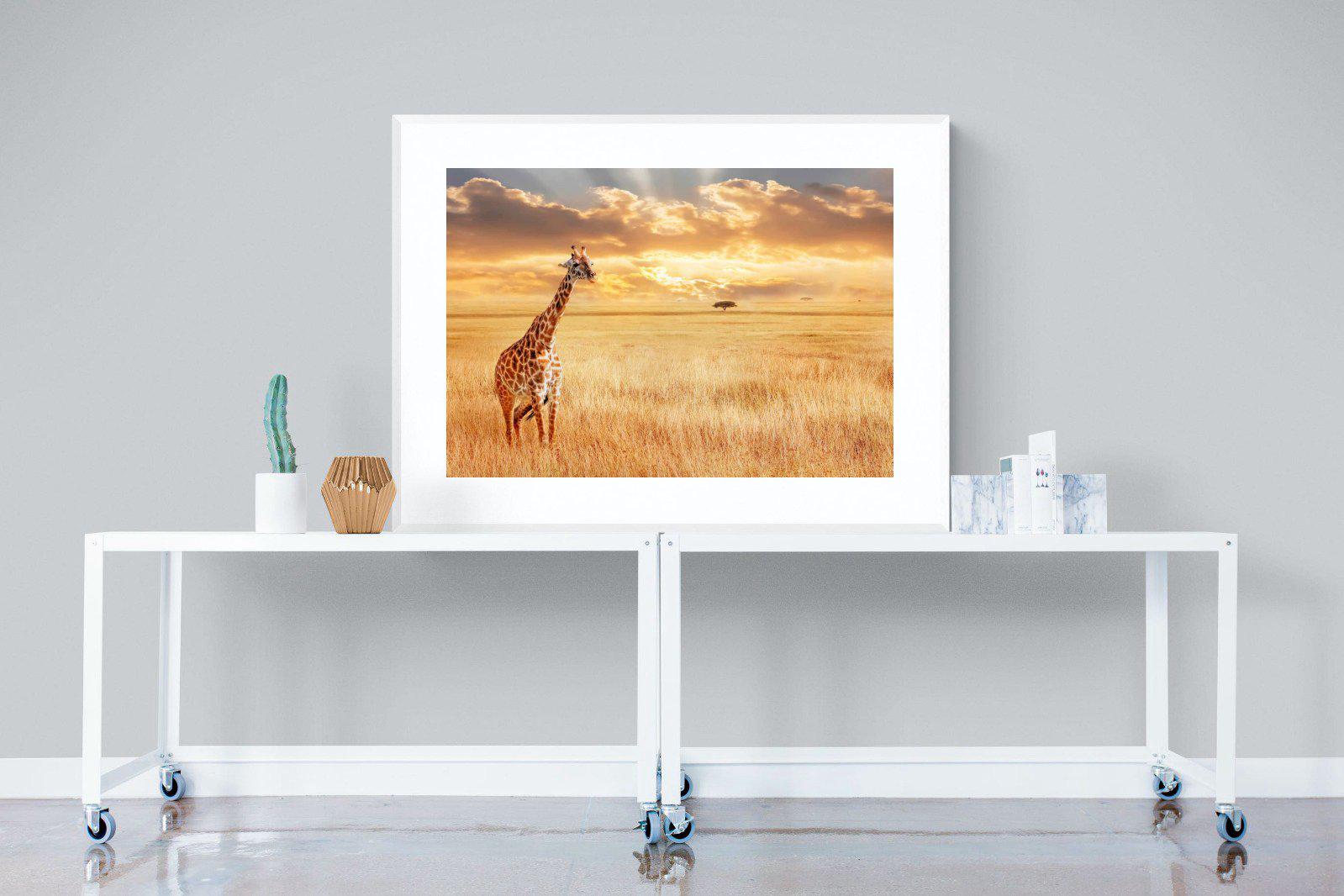 Giraffe Sunset-Wall_Art-120 x 90cm-Framed Print-White-Pixalot
