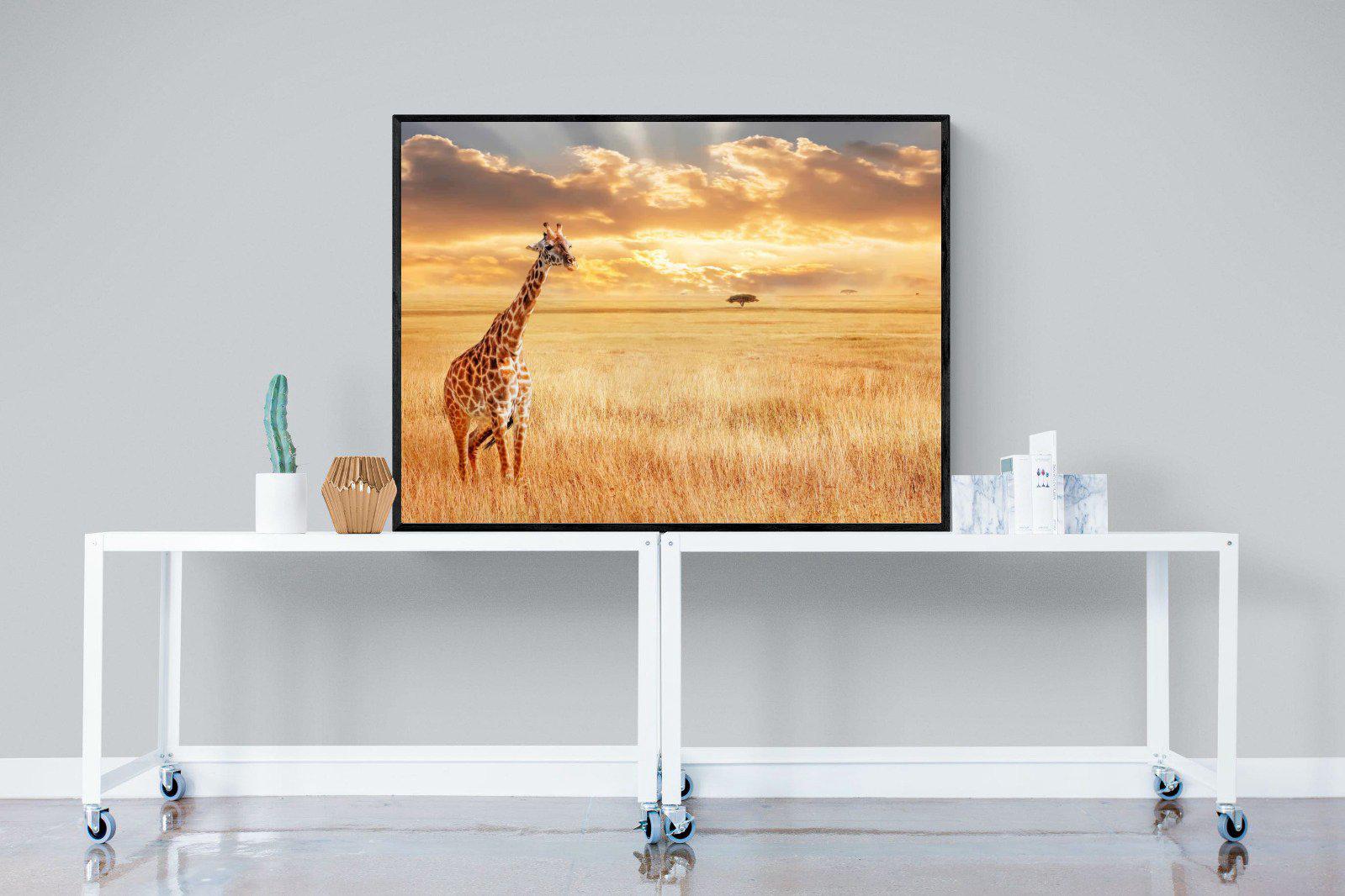 Giraffe Sunset-Wall_Art-120 x 90cm-Mounted Canvas-Black-Pixalot