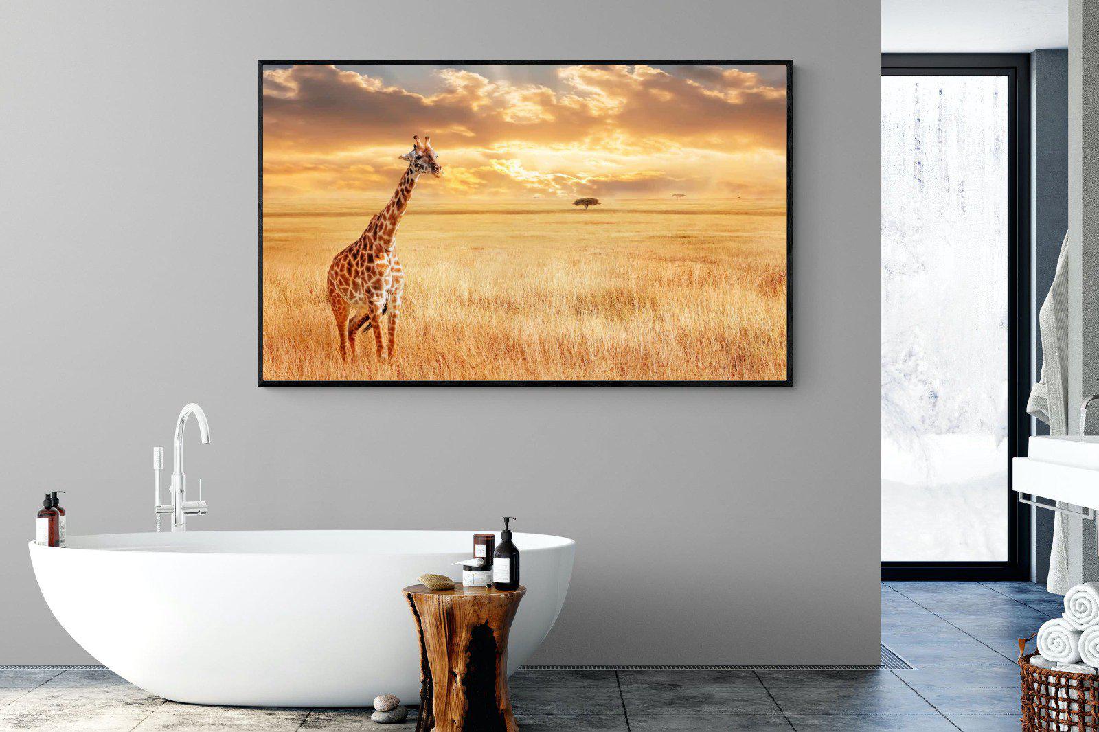 Giraffe Sunset-Wall_Art-180 x 110cm-Mounted Canvas-Black-Pixalot