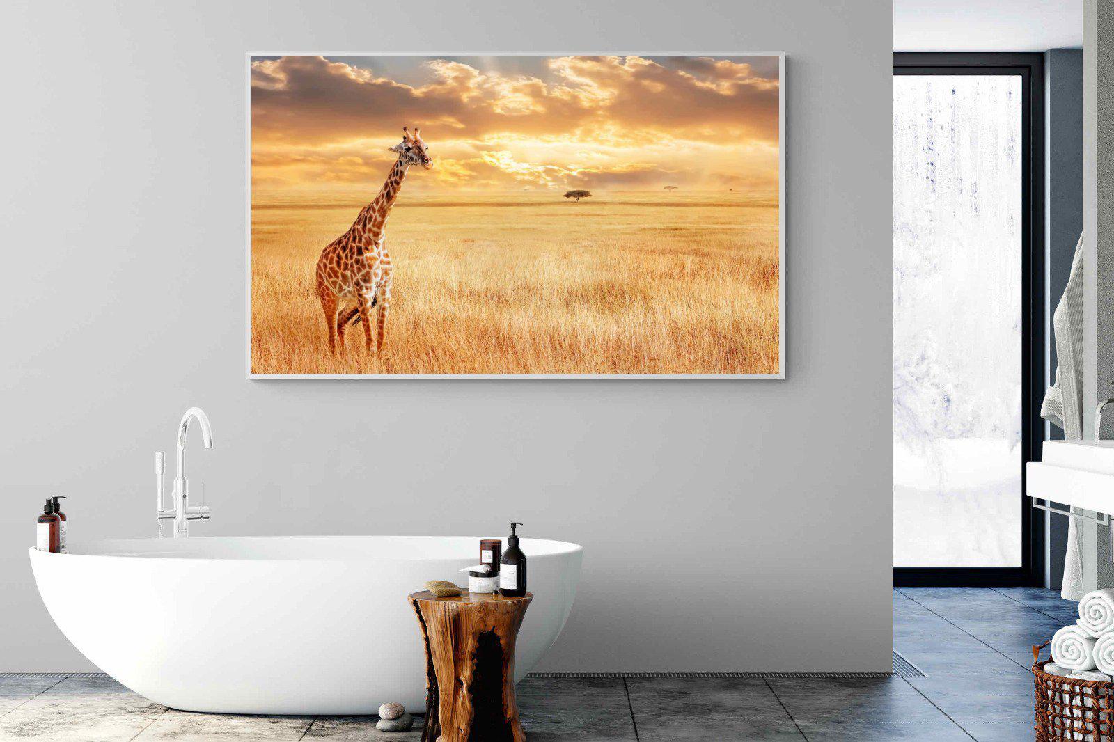 Giraffe Sunset-Wall_Art-180 x 110cm-Mounted Canvas-White-Pixalot