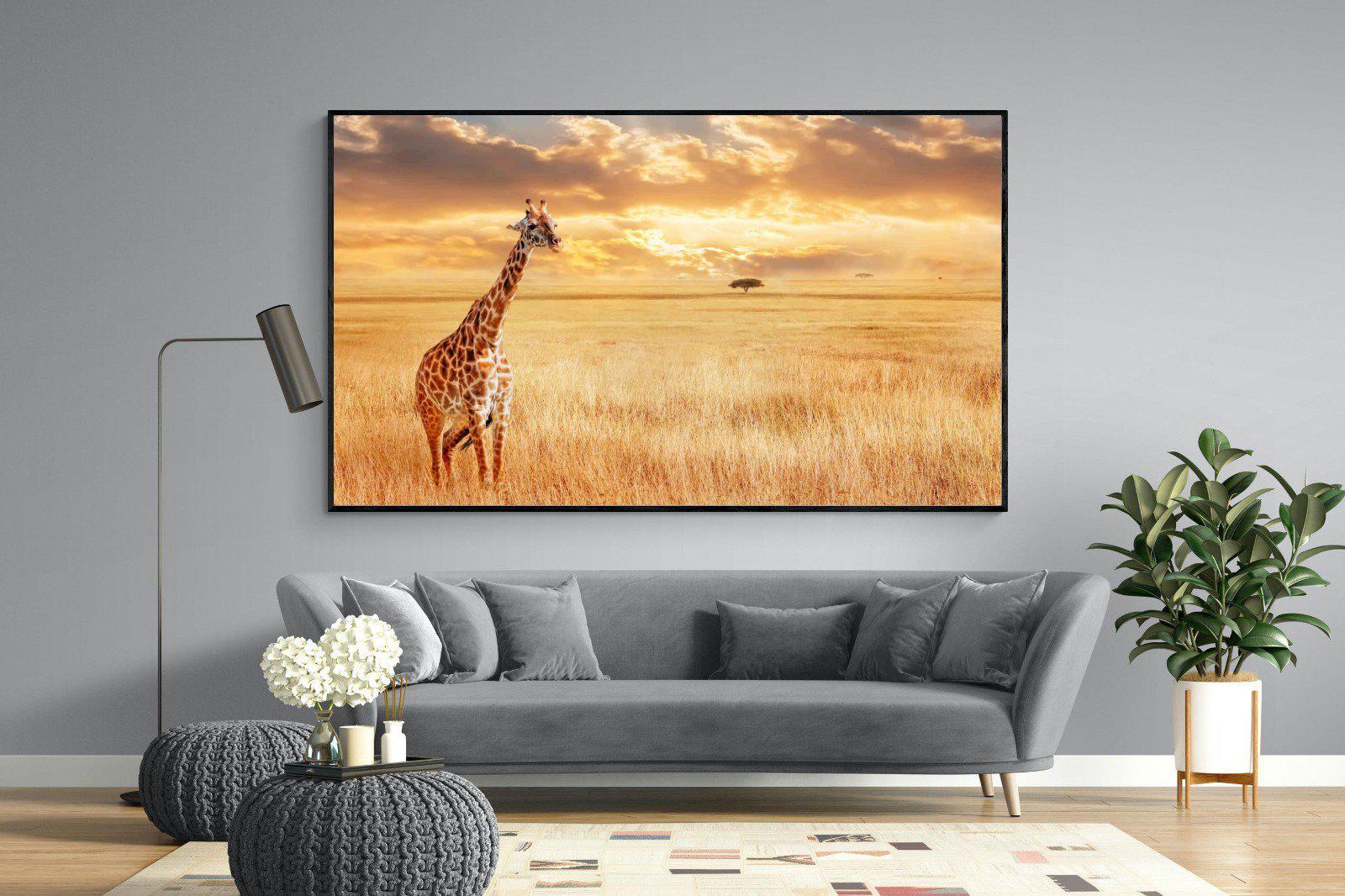 Giraffe Sunset-Wall_Art-220 x 130cm-Mounted Canvas-Black-Pixalot