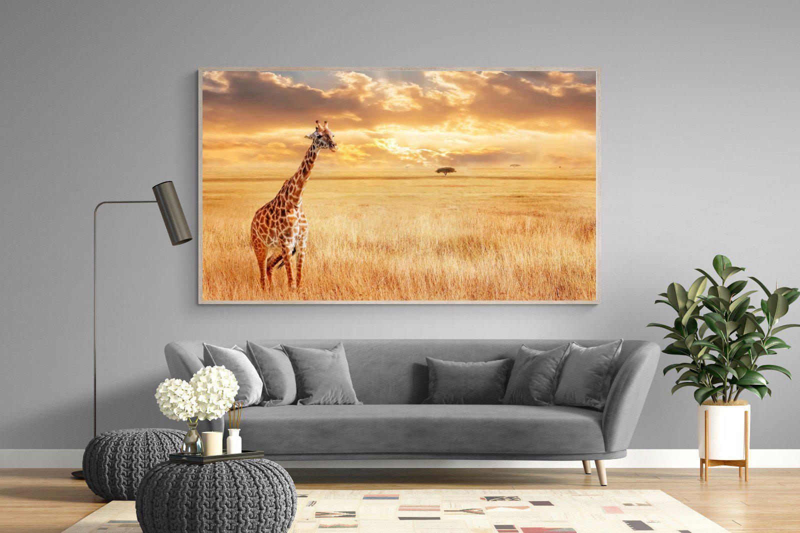 Giraffe Sunset-Wall_Art-220 x 130cm-Mounted Canvas-Wood-Pixalot
