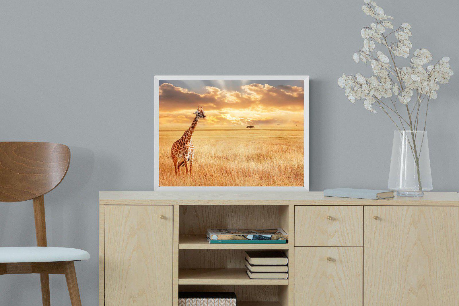 Giraffe Sunset-Wall_Art-60 x 45cm-Mounted Canvas-White-Pixalot