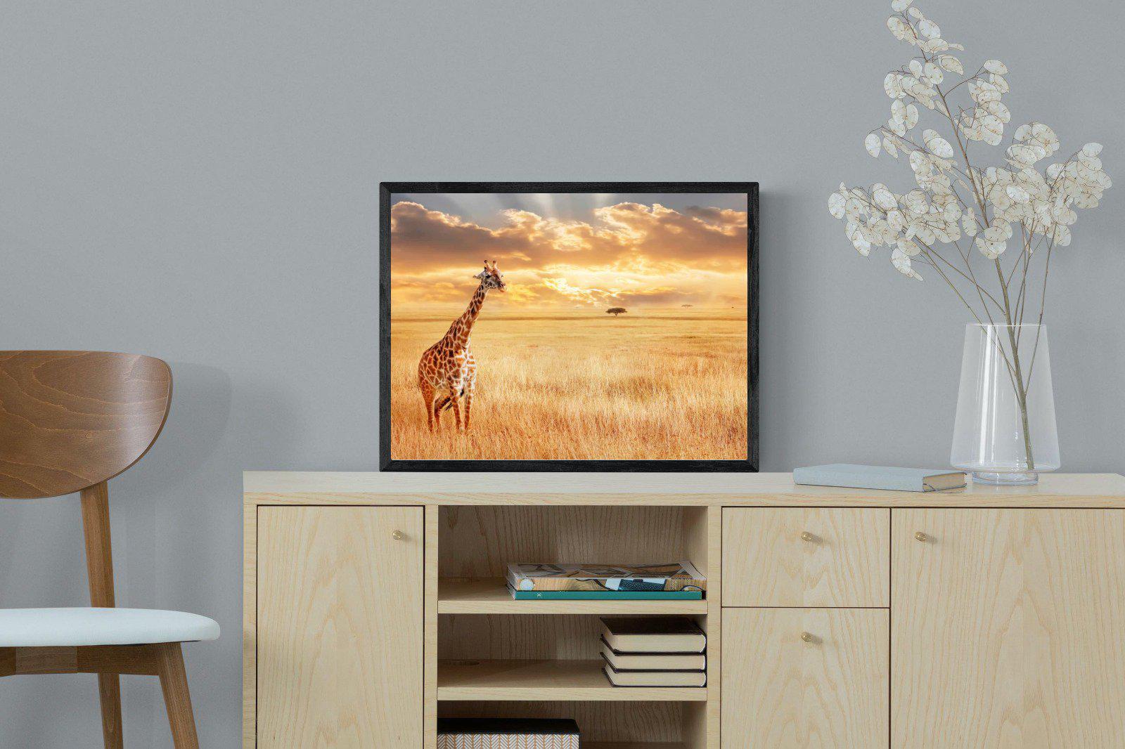 Giraffe Sunset-Wall_Art-60 x 45cm-Mounted Canvas-Black-Pixalot