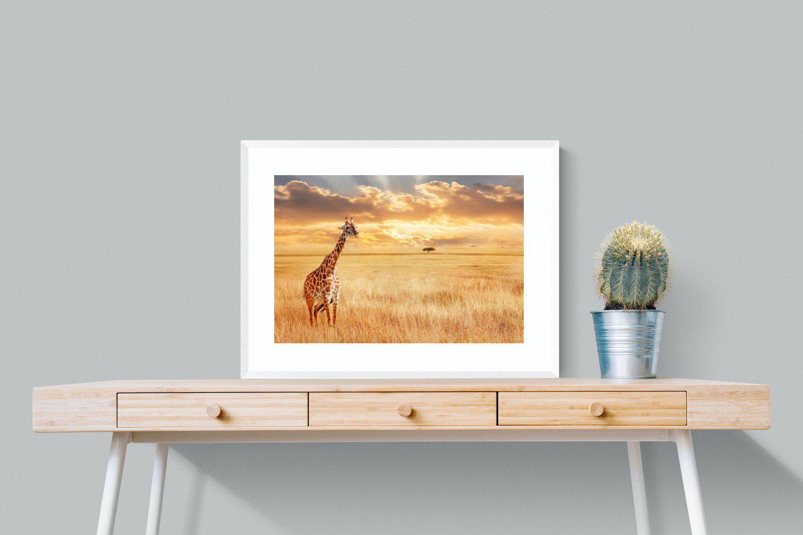 Giraffe Sunset-Wall_Art-80 x 60cm-Framed Print-White-Pixalot