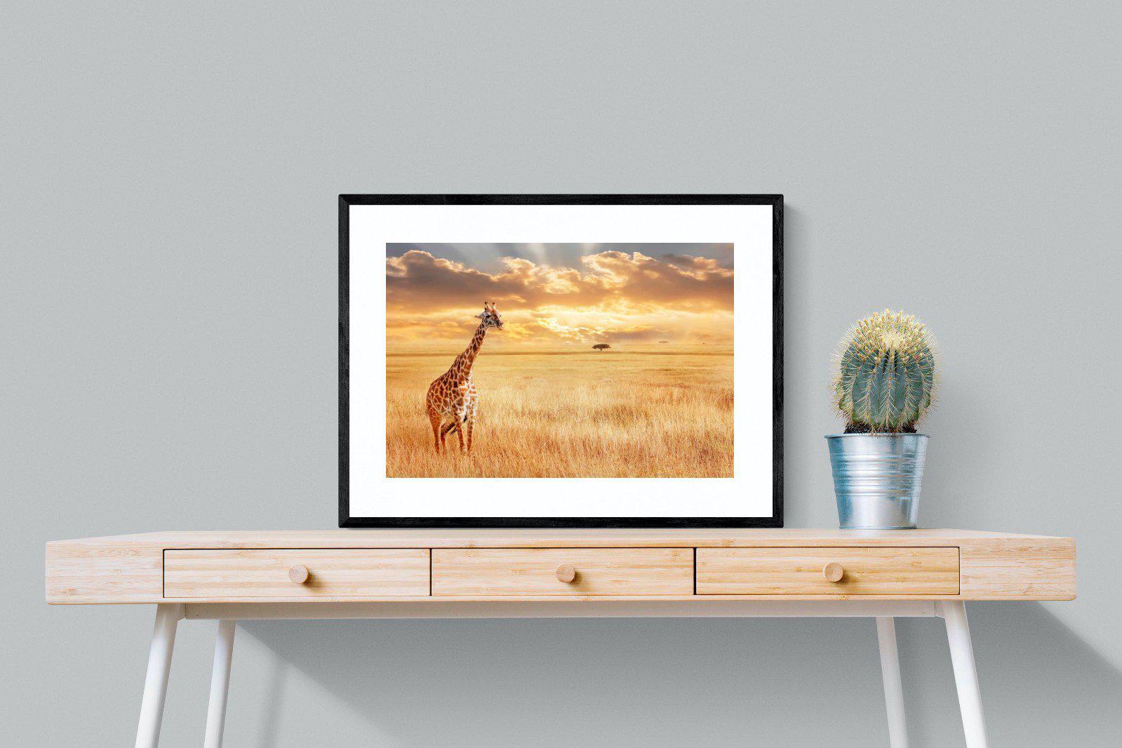 Giraffe Sunset-Wall_Art-80 x 60cm-Framed Print-Black-Pixalot