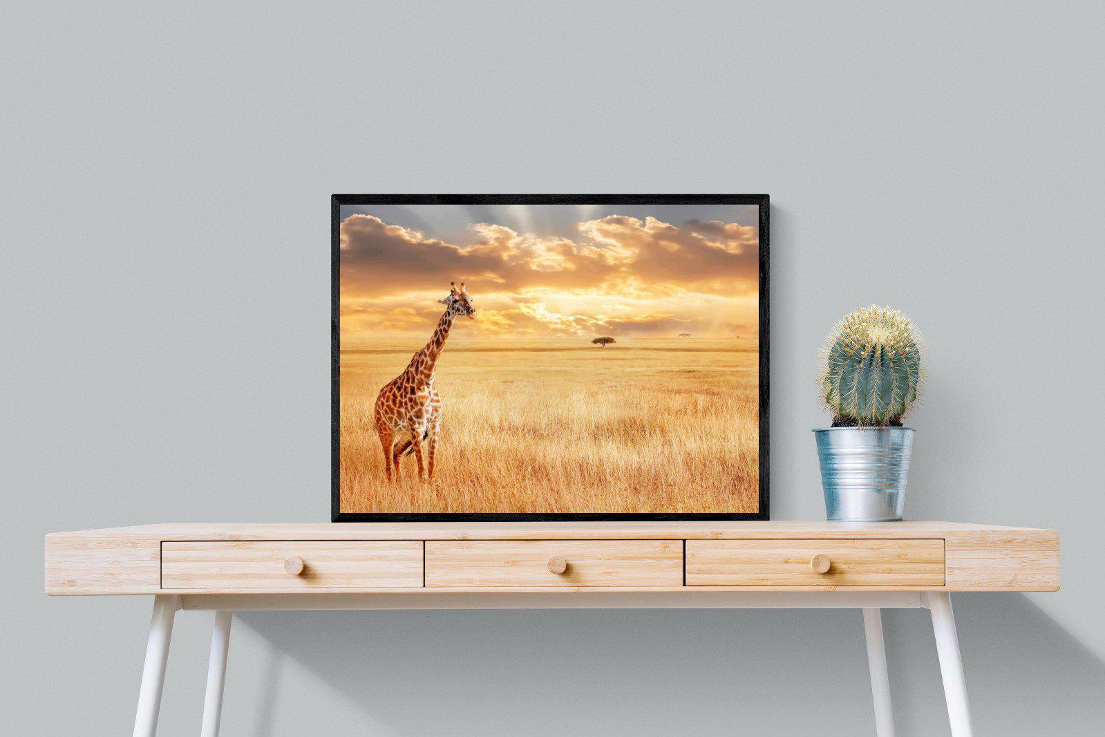 Giraffe Sunset-Wall_Art-80 x 60cm-Mounted Canvas-Black-Pixalot