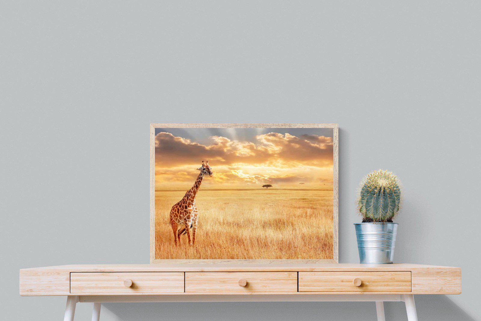 Giraffe Sunset-Wall_Art-80 x 60cm-Mounted Canvas-Wood-Pixalot