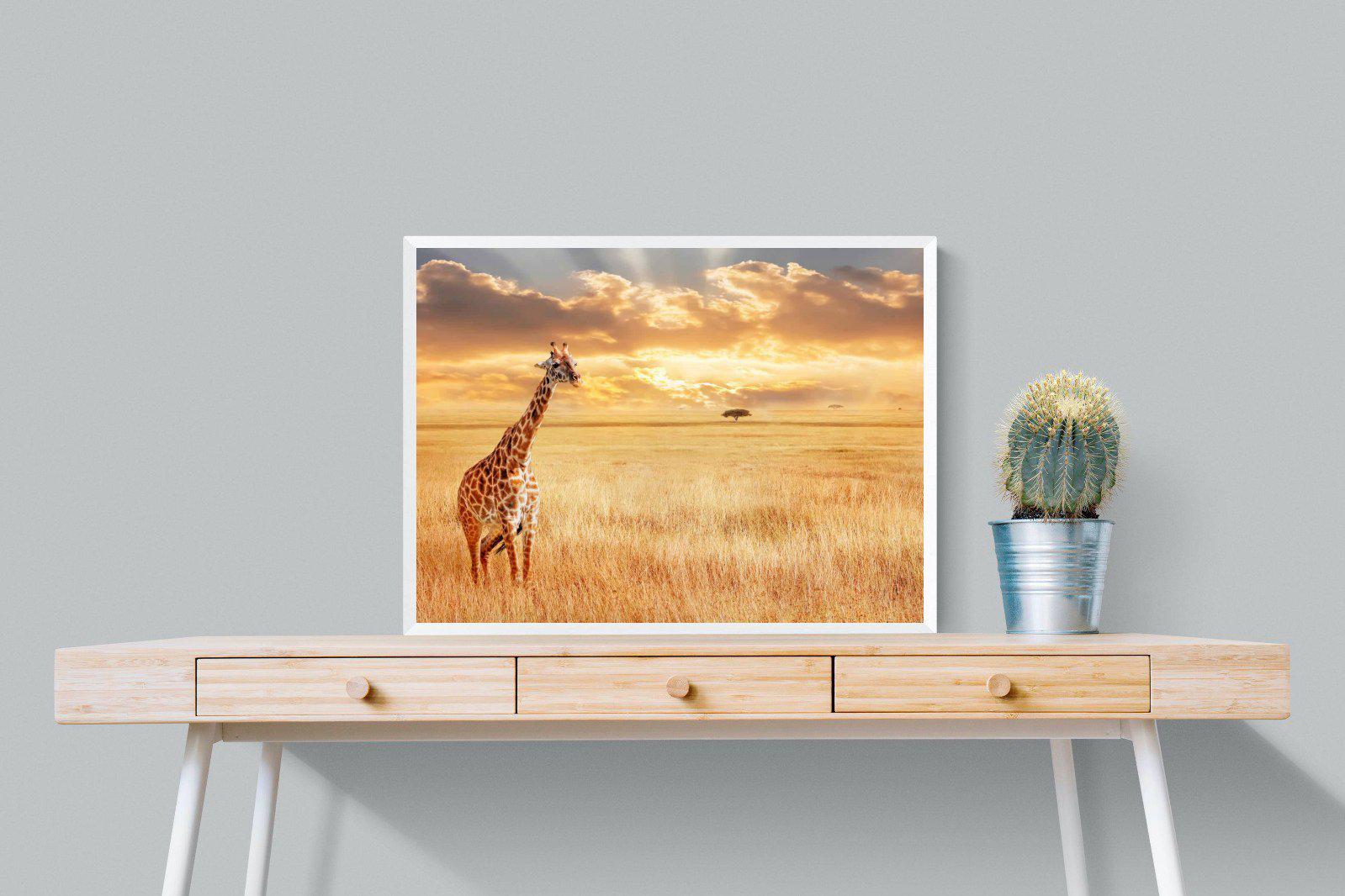Giraffe Sunset-Wall_Art-80 x 60cm-Mounted Canvas-White-Pixalot