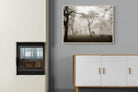 Grazing in the Fog-Wall_Art-100 x 75cm-Mounted Canvas-Wood-Pixalot
