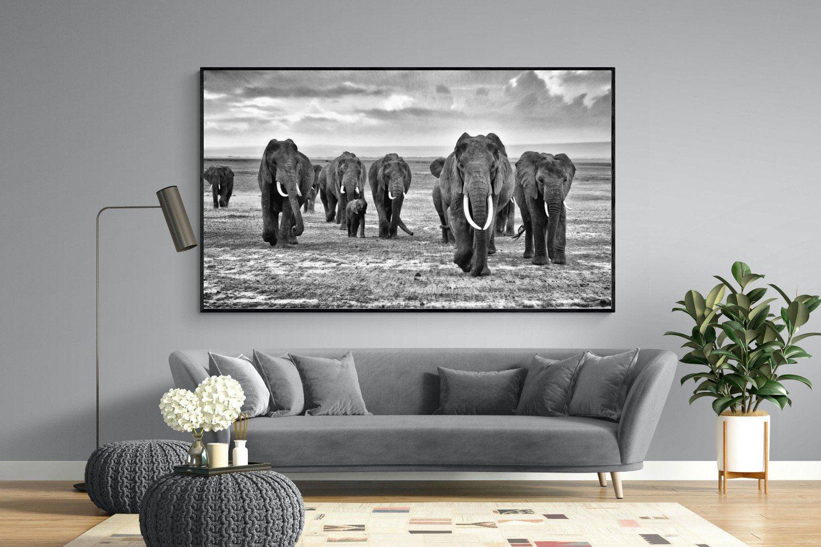 Great Tuskers-Wall_Art-220 x 130cm-Mounted Canvas-Black-Pixalot
