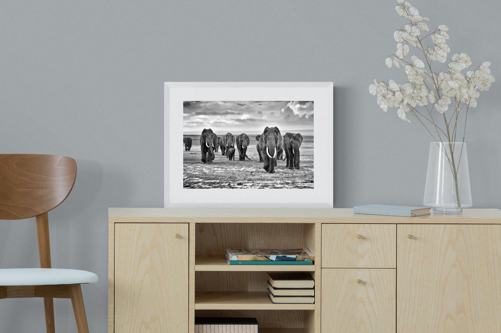 Great Tuskers-Wall_Art-60 x 45cm-Framed Print-White-Pixalot