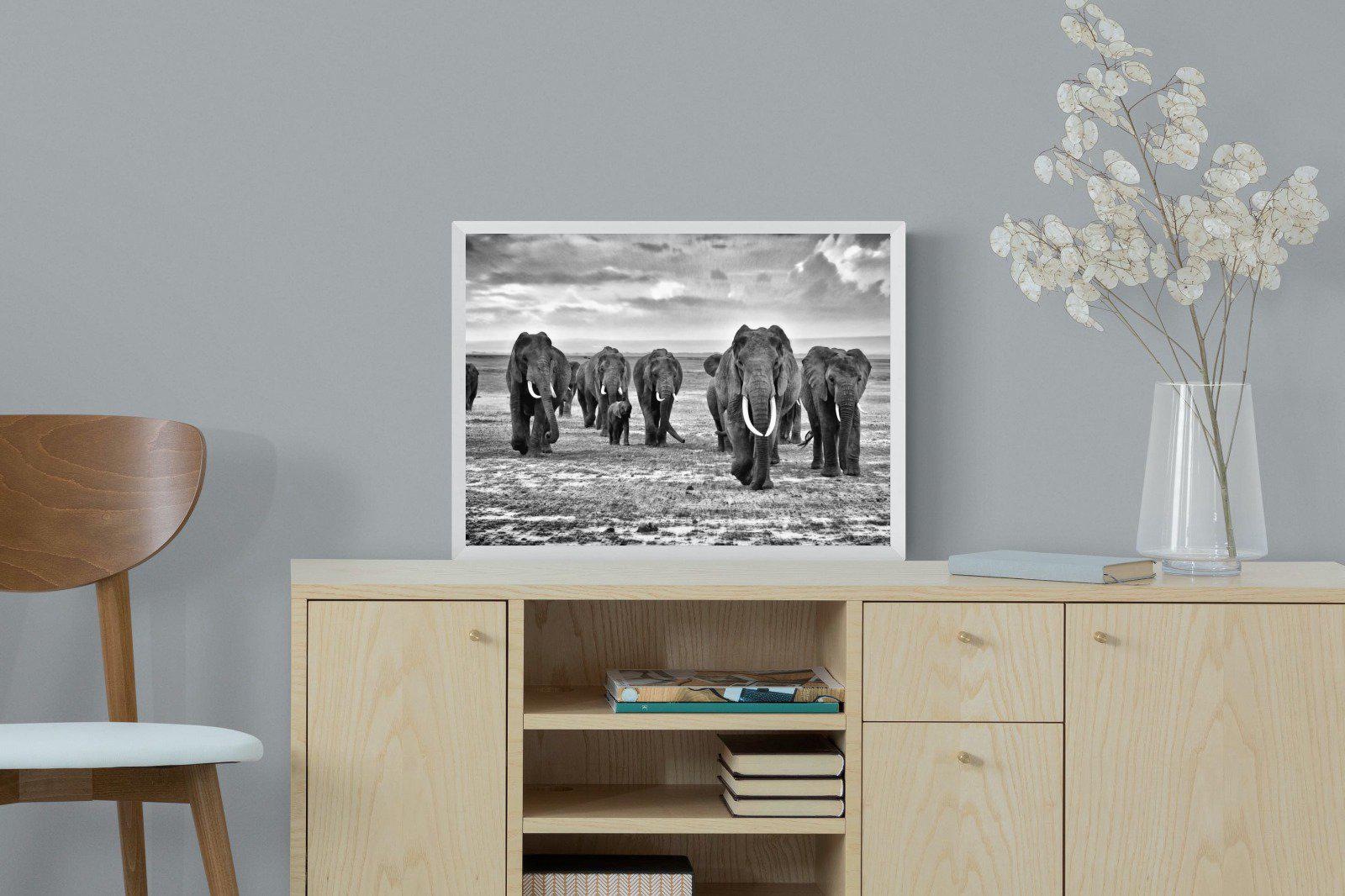 Great Tuskers-Wall_Art-60 x 45cm-Mounted Canvas-White-Pixalot