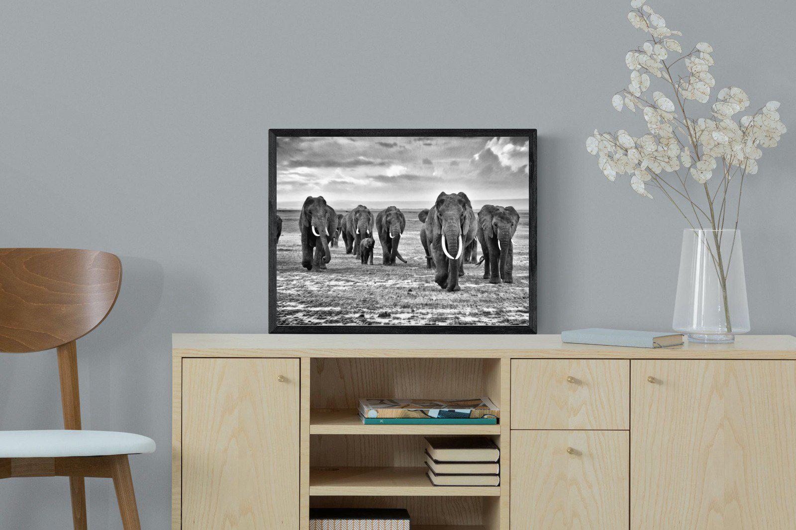 Great Tuskers-Wall_Art-60 x 45cm-Mounted Canvas-Black-Pixalot