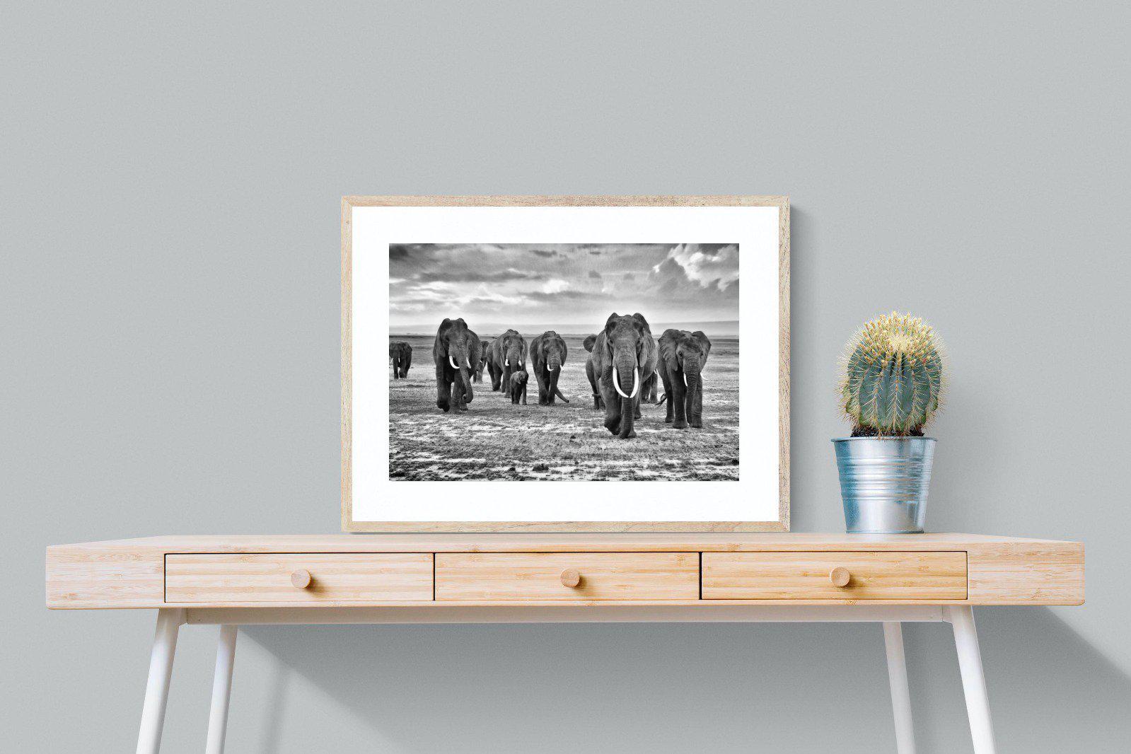 Great Tuskers-Wall_Art-80 x 60cm-Framed Print-Wood-Pixalot