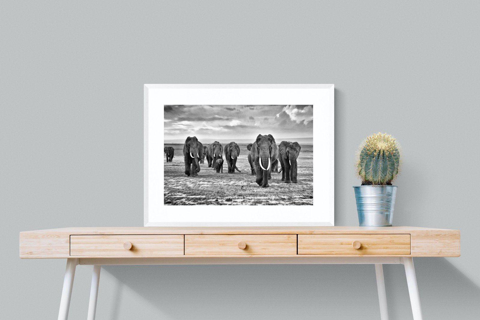Great Tuskers-Wall_Art-80 x 60cm-Framed Print-White-Pixalot