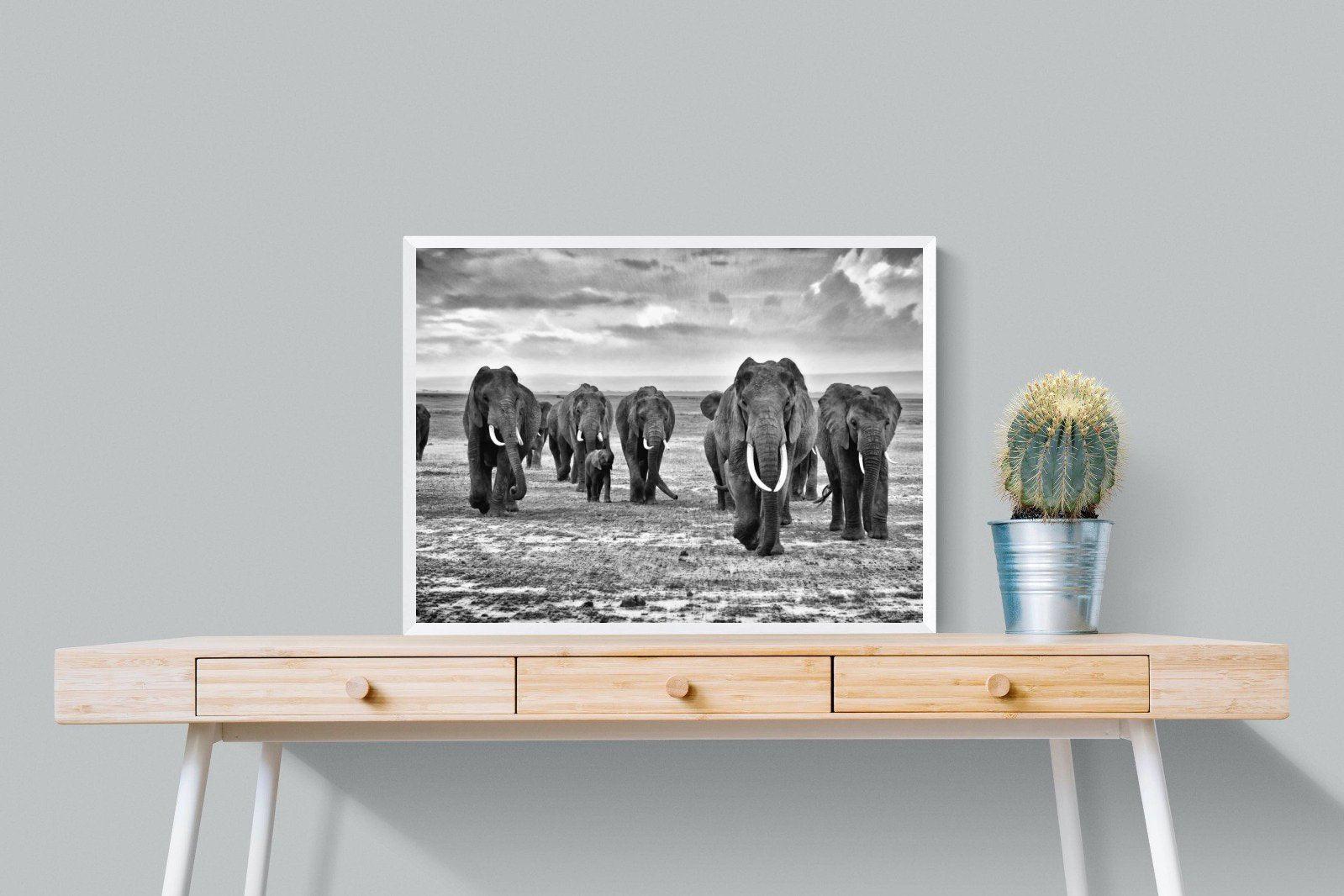 Great Tuskers-Wall_Art-80 x 60cm-Mounted Canvas-White-Pixalot