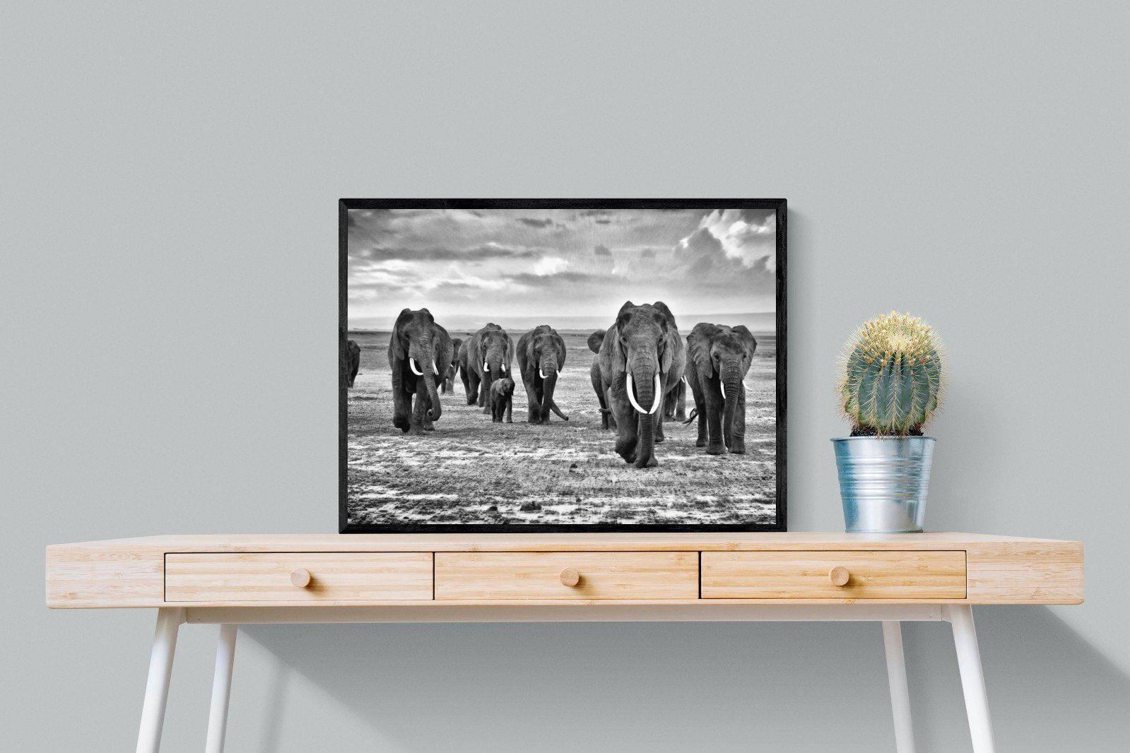 Great Tuskers-Wall_Art-80 x 60cm-Mounted Canvas-Black-Pixalot