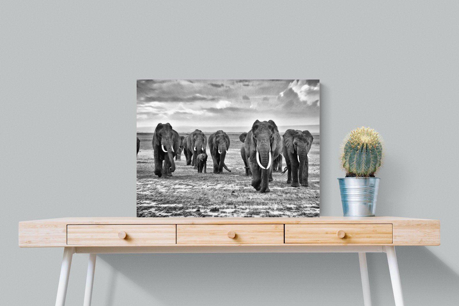 Great Tuskers-Wall_Art-80 x 60cm-Mounted Canvas-No Frame-Pixalot