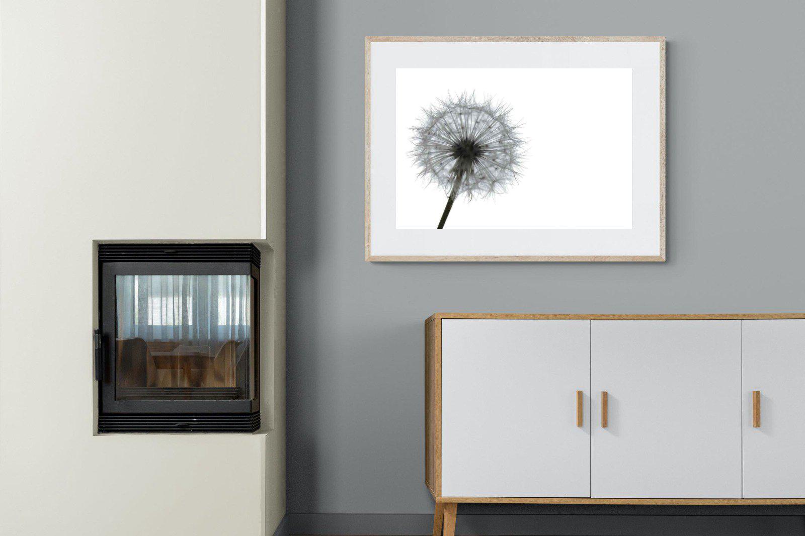 Grey Dandelion-Wall_Art-100 x 75cm-Framed Print-Wood-Pixalot
