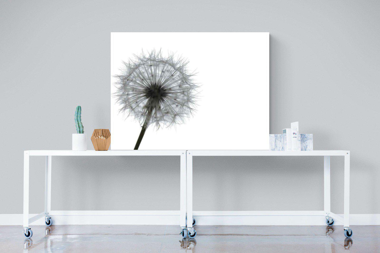 Grey Dandelion-Wall_Art-120 x 90cm-Mounted Canvas-No Frame-Pixalot