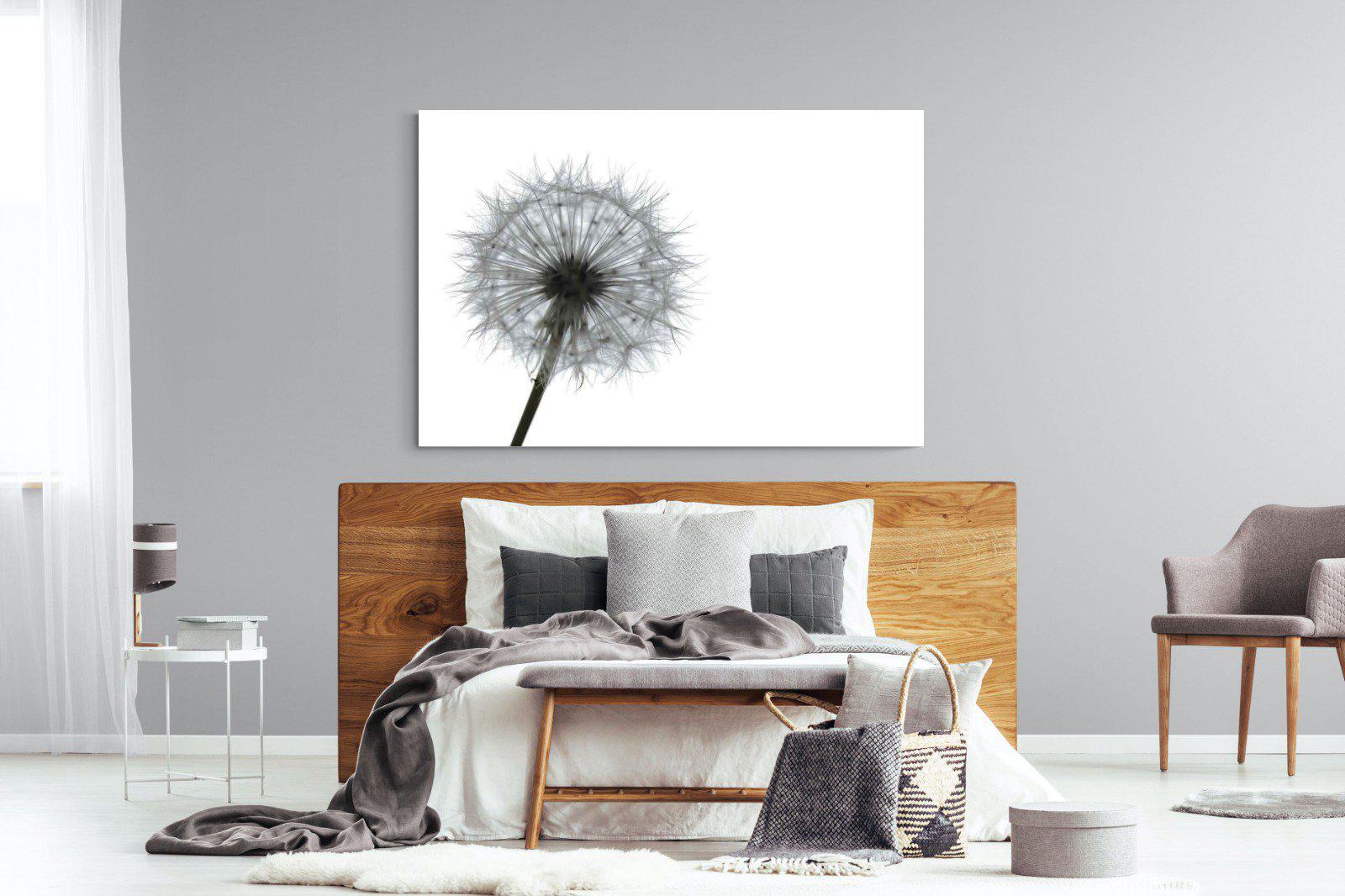 Grey Dandelion-Wall_Art-150 x 100cm-Mounted Canvas-No Frame-Pixalot