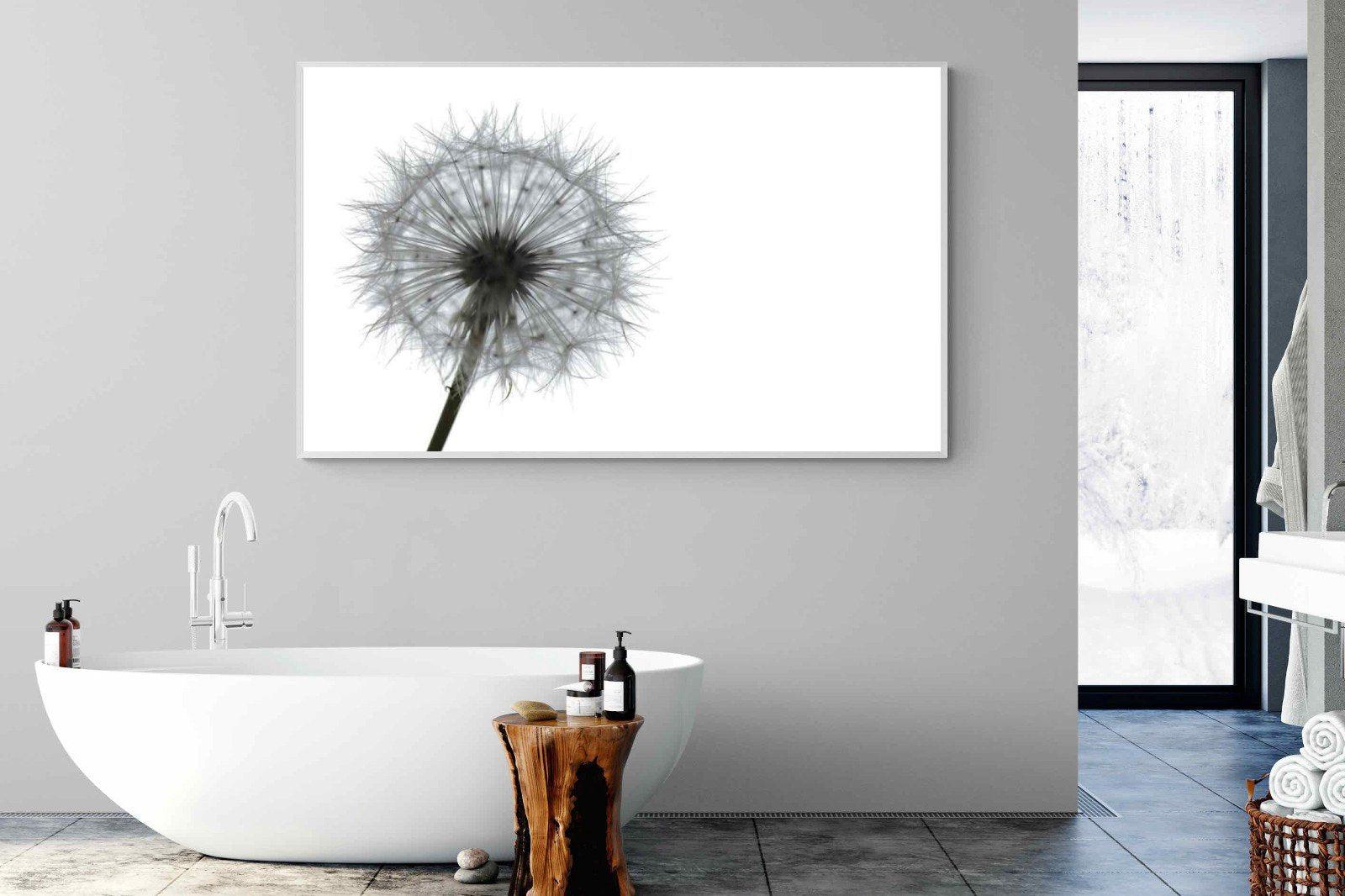 Grey Dandelion-Wall_Art-180 x 110cm-Mounted Canvas-White-Pixalot