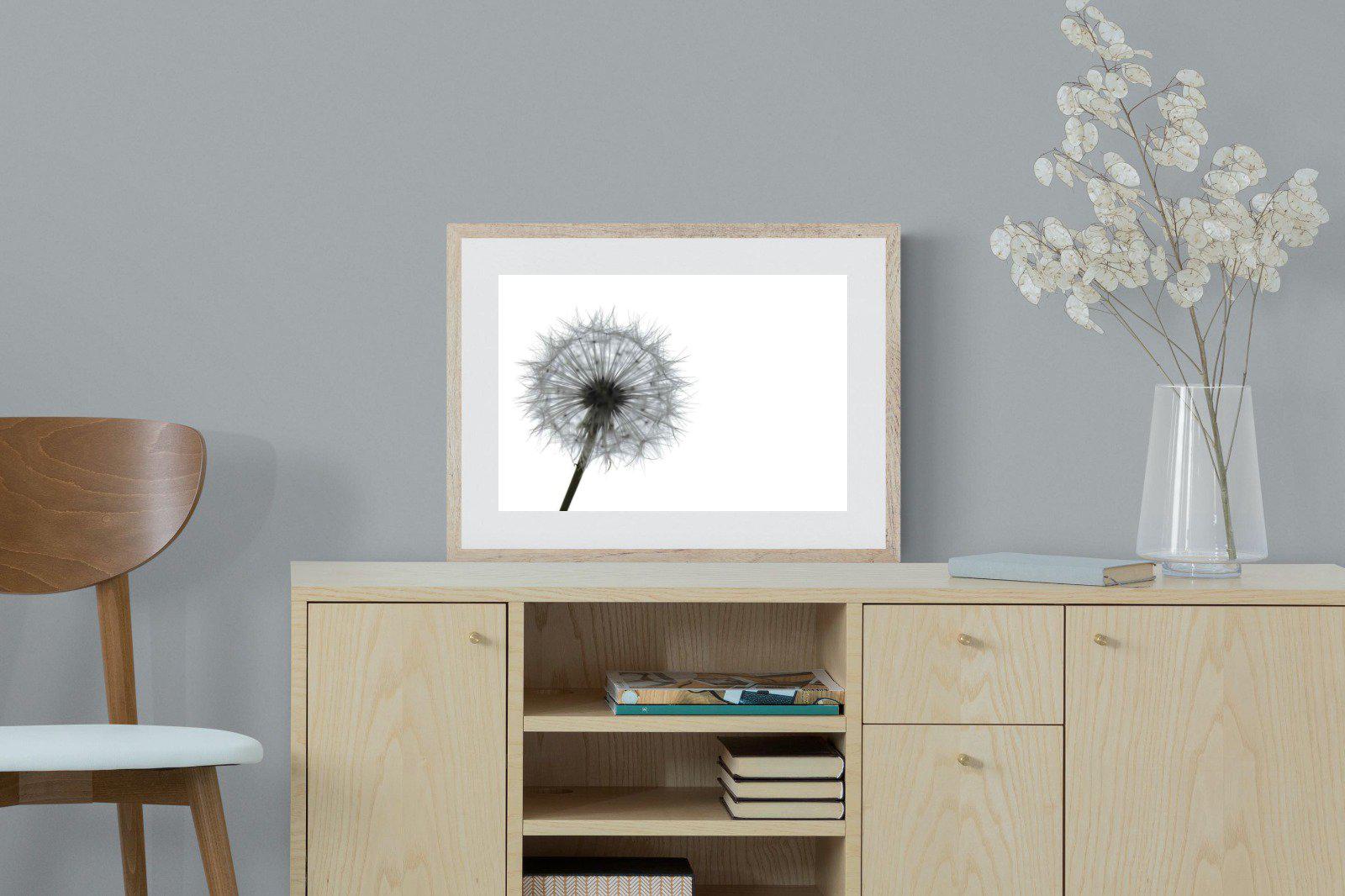 Grey Dandelion-Wall_Art-60 x 45cm-Framed Print-Wood-Pixalot