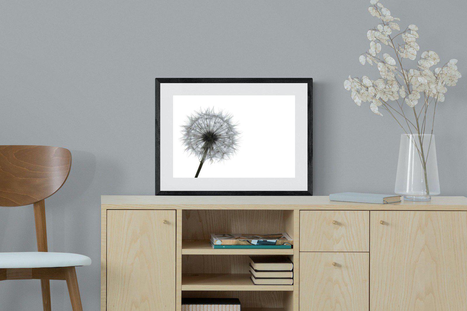 Grey Dandelion-Wall_Art-60 x 45cm-Framed Print-Black-Pixalot