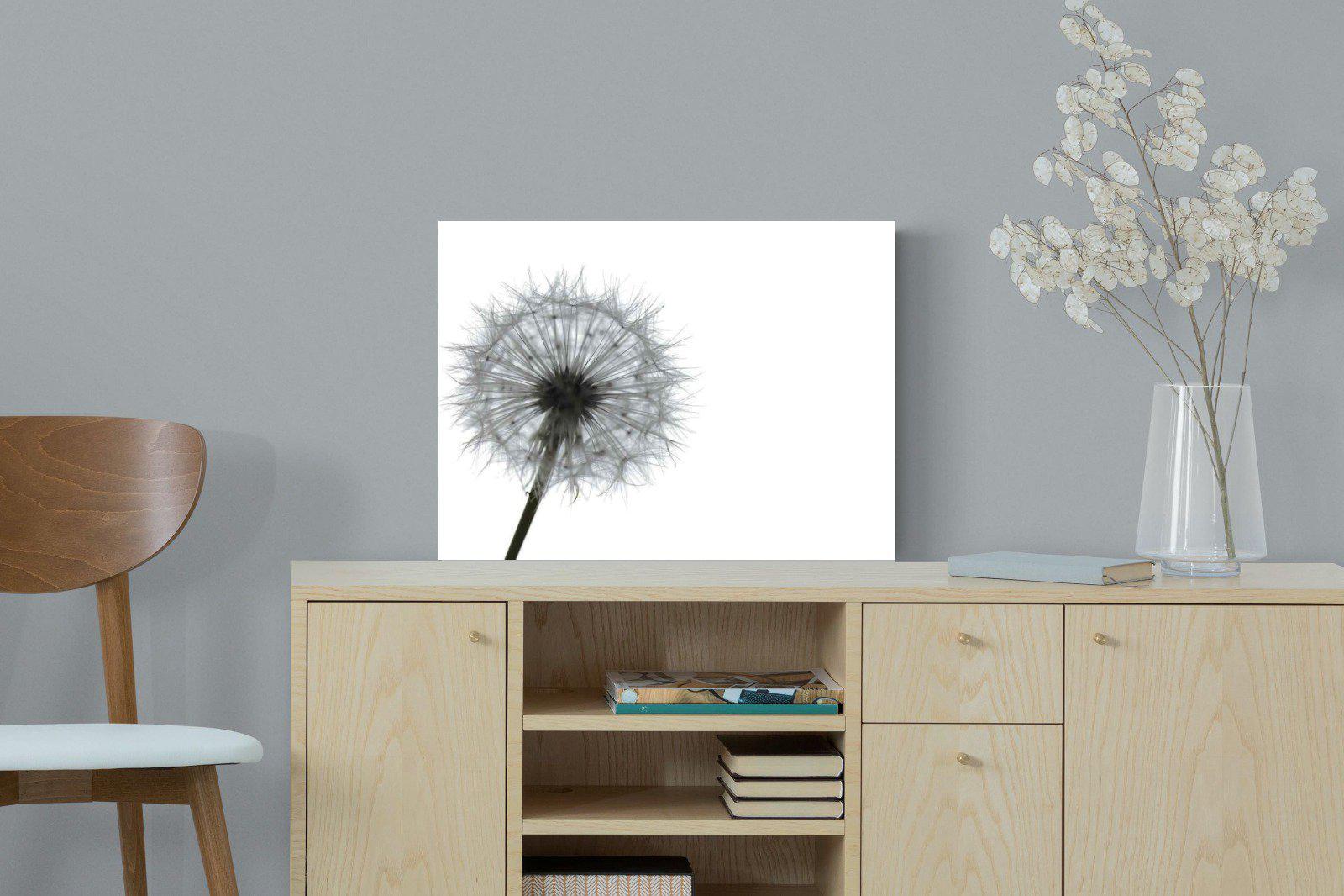 Grey Dandelion-Wall_Art-60 x 45cm-Mounted Canvas-No Frame-Pixalot
