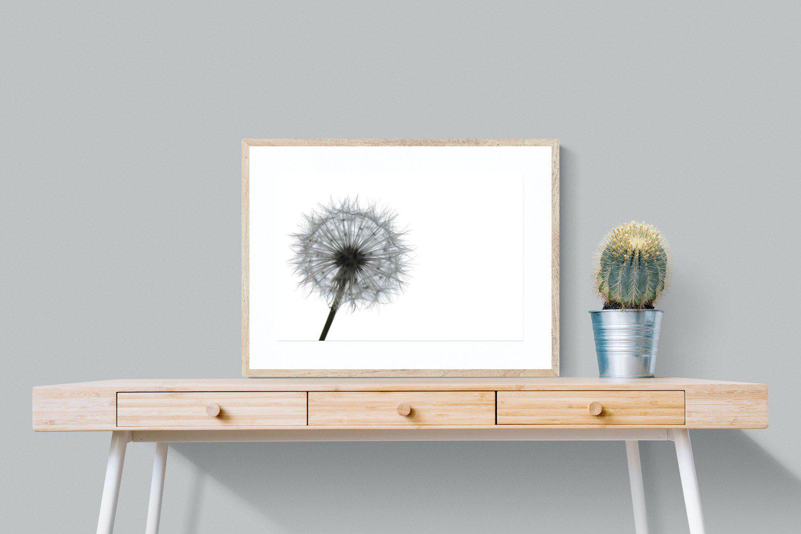 Grey Dandelion-Wall_Art-80 x 60cm-Framed Print-Wood-Pixalot