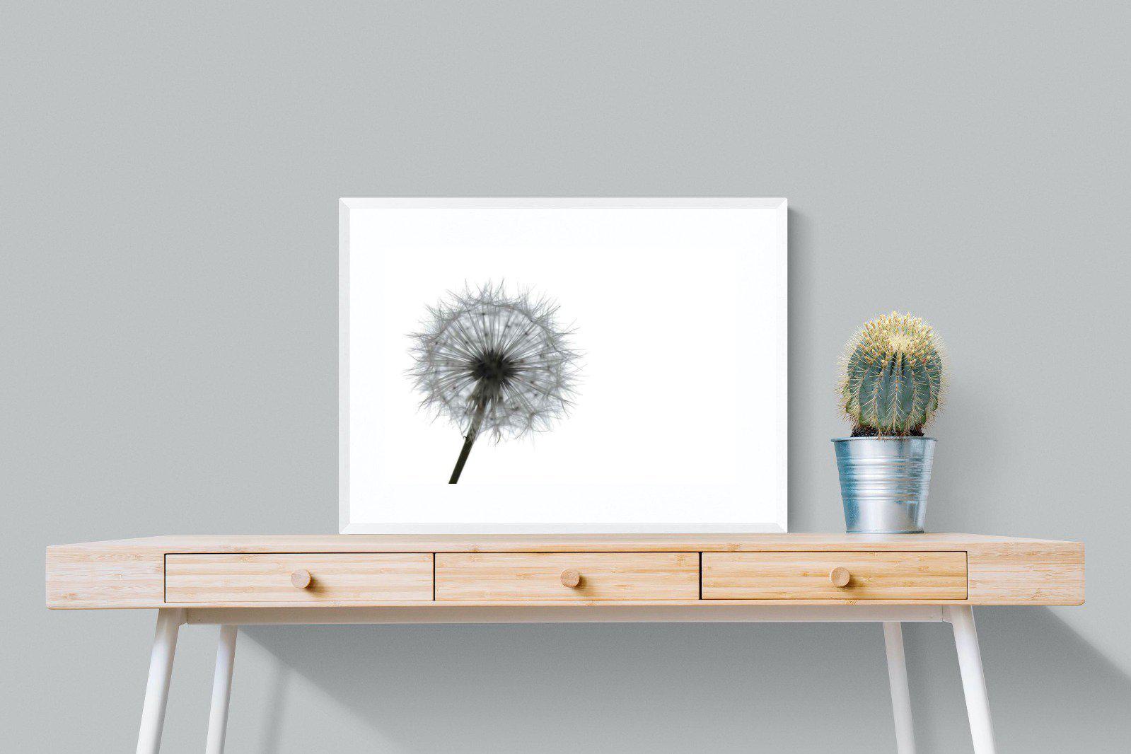 Grey Dandelion-Wall_Art-80 x 60cm-Framed Print-White-Pixalot