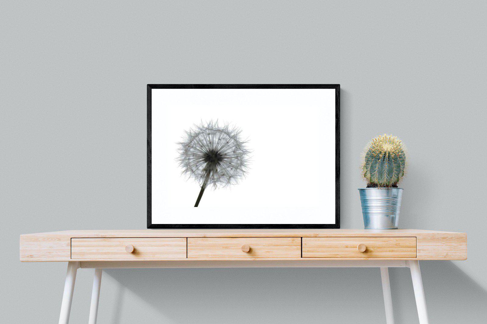 Grey Dandelion-Wall_Art-80 x 60cm-Framed Print-Black-Pixalot