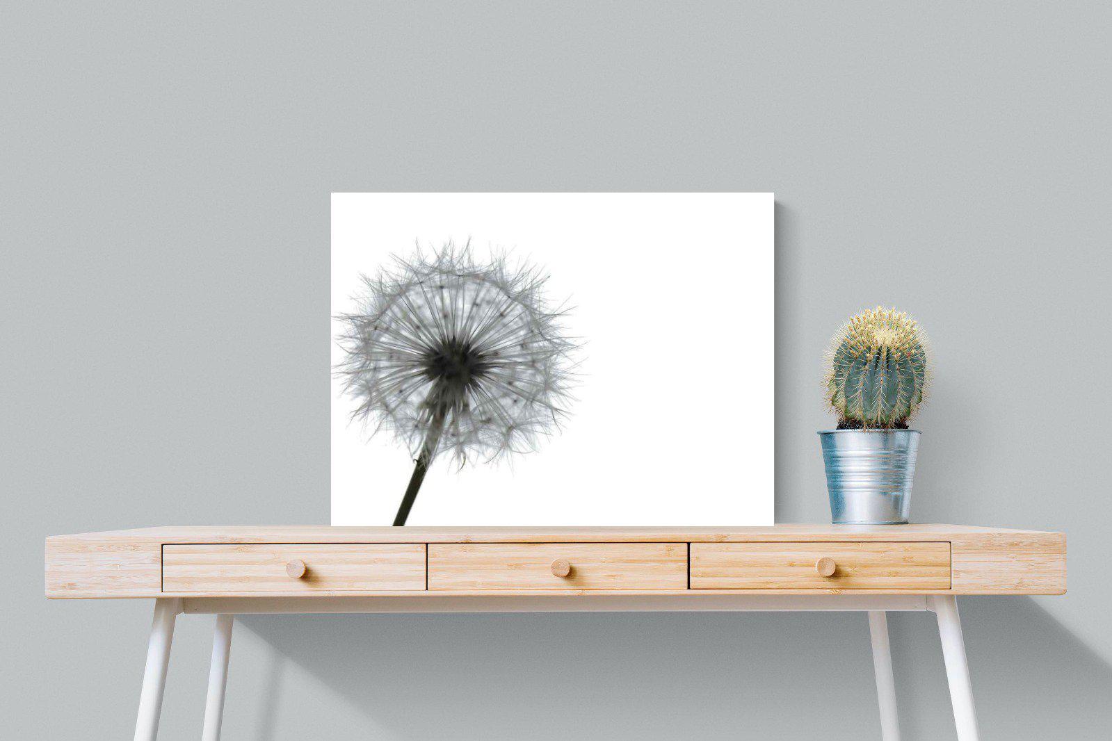 Grey Dandelion-Wall_Art-80 x 60cm-Mounted Canvas-No Frame-Pixalot