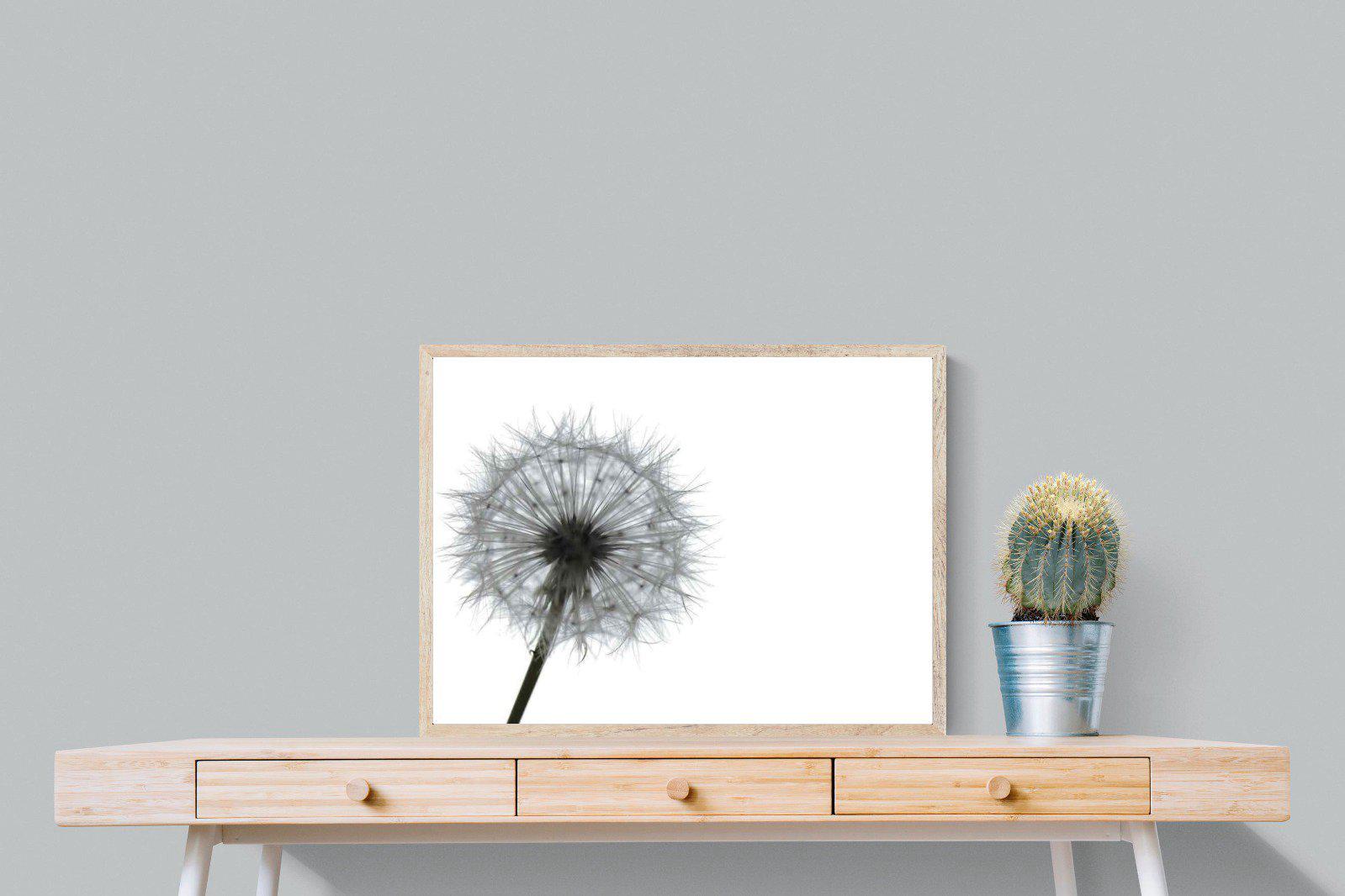 Grey Dandelion-Wall_Art-80 x 60cm-Mounted Canvas-Wood-Pixalot