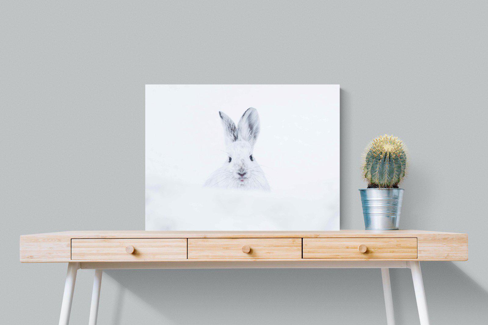 Hare-Wall_Art-80 x 60cm-Mounted Canvas-No Frame-Pixalot